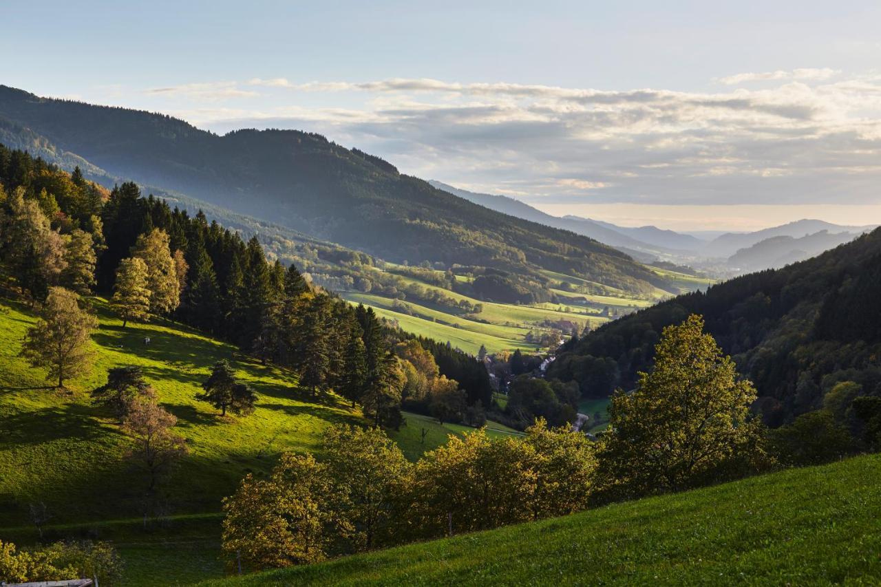 Elzland Hotel 9 Linden "Ferienwohnung" Elzach Exteriör bild